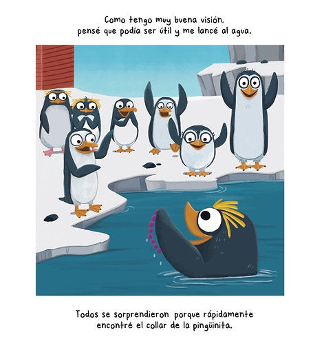LIBRO RAYO ENCUENTRA SU LUGAR