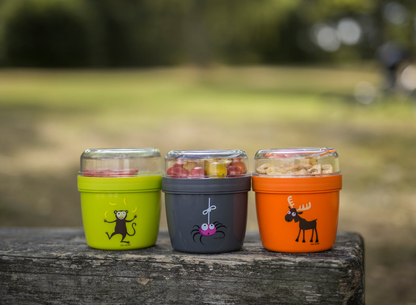 N'ICE CUP™ LARGE, SNACK BOX