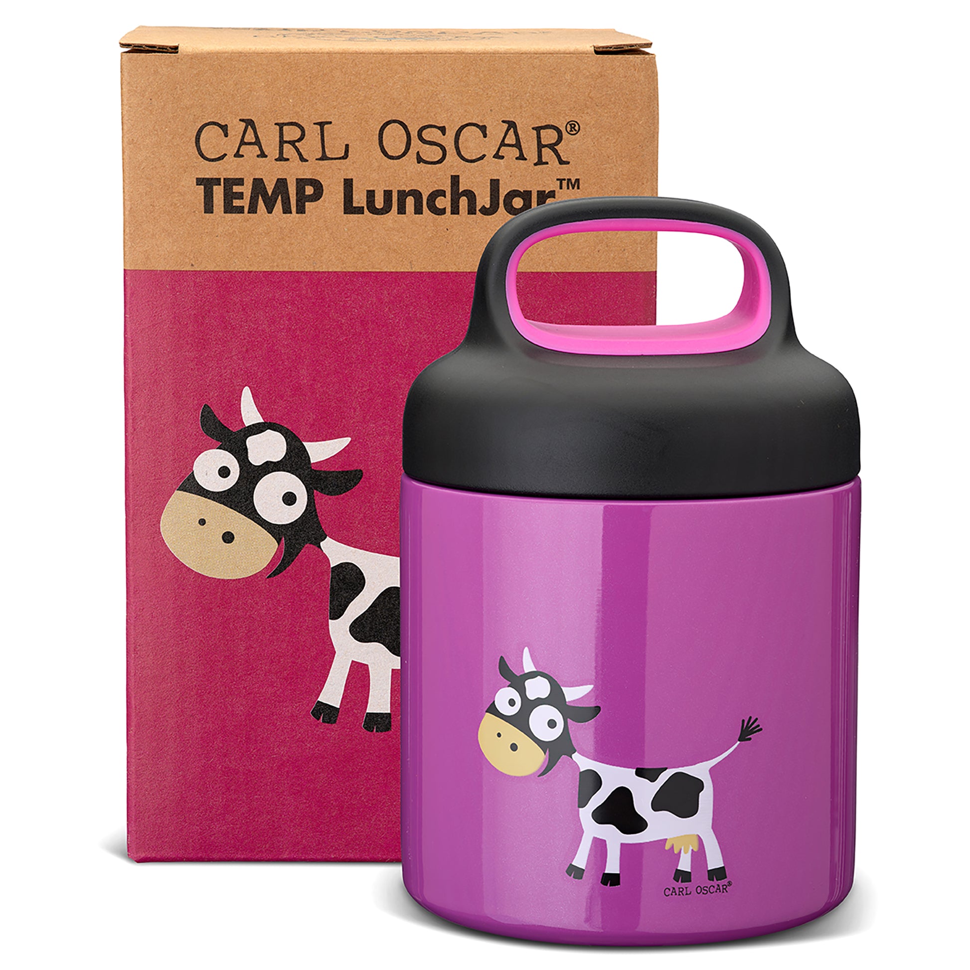 Termo Temp Lunchjar 300ml