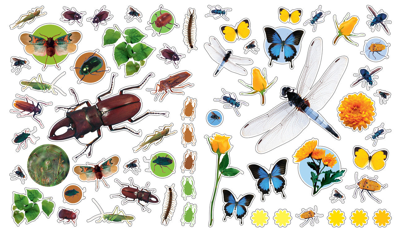 STICKERS REUTILIZABLES BICHOS