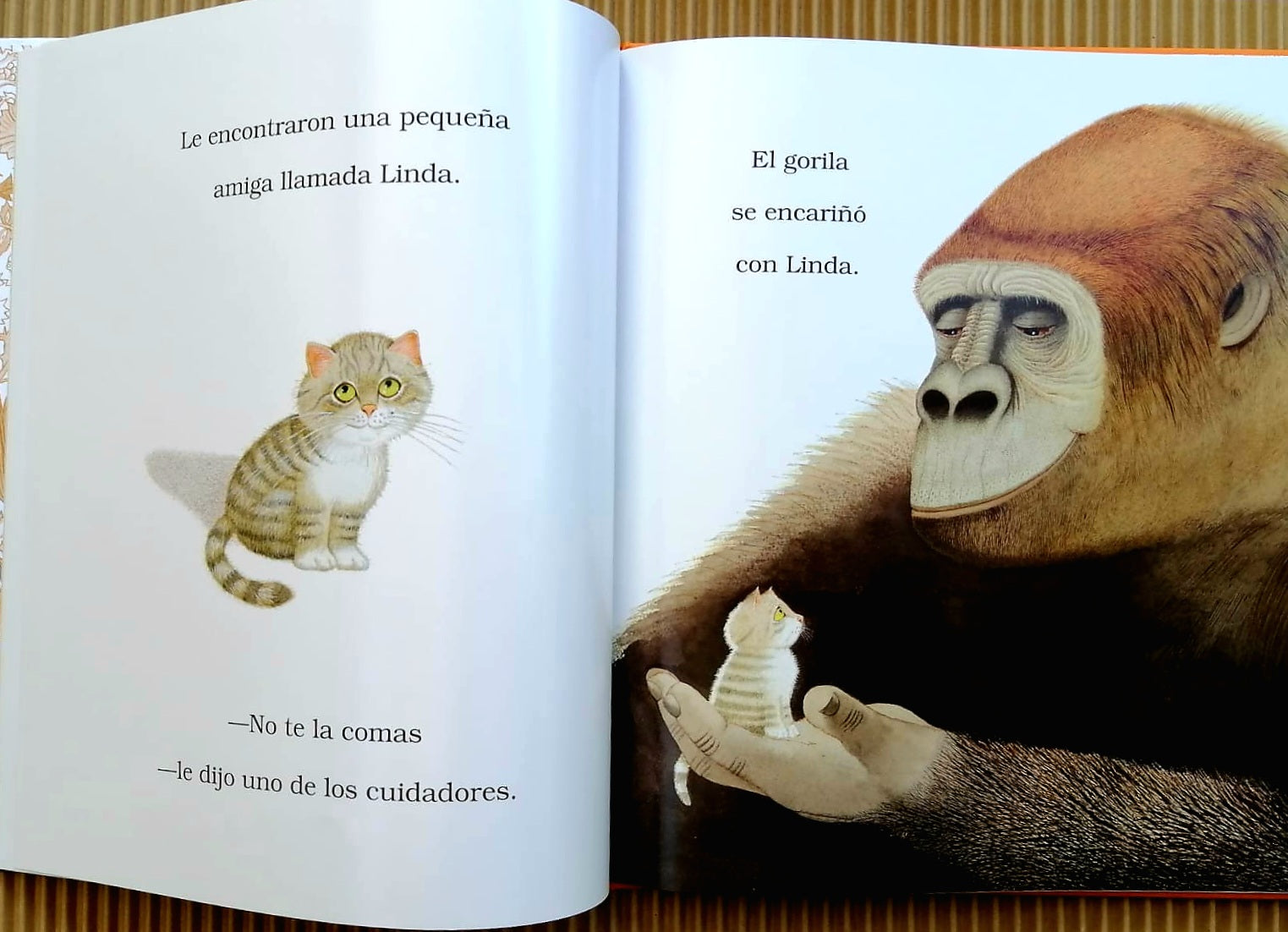 Libro cosita linda
