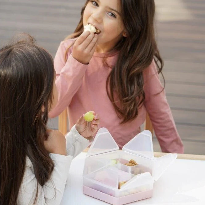 SNACKLE HEXAGONAL 6 COMPARTIMIENTOS ROSADO