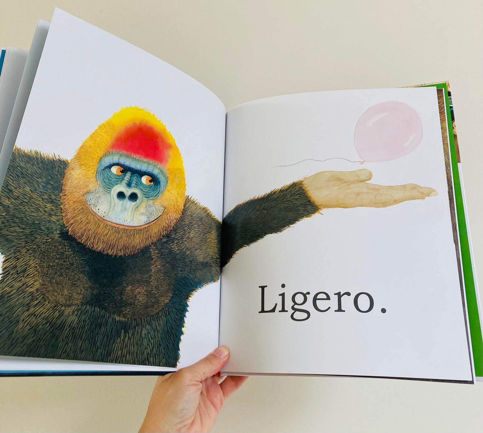 Gran gorila. Un libro de opuestos