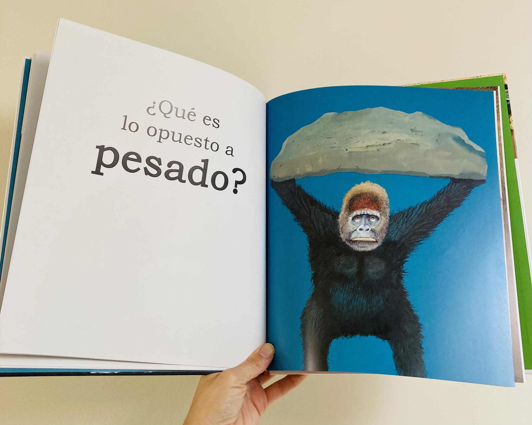 Gran gorila. Un libro de opuestos