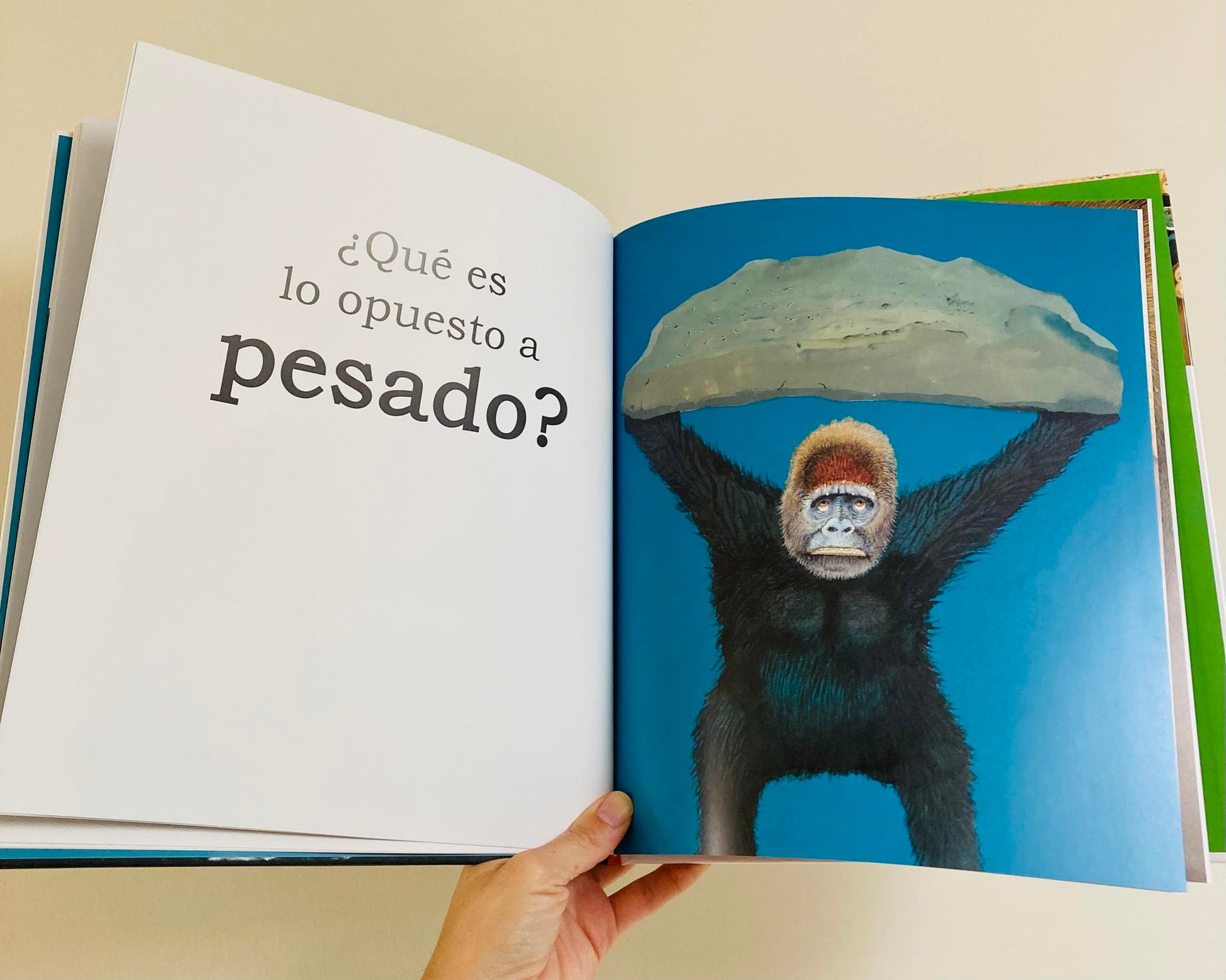 Gran gorila. Un libro de opuestos