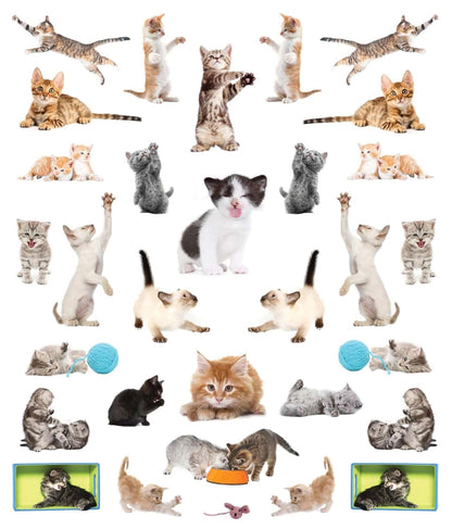 STICKERS REUTILIZABLES GATOS