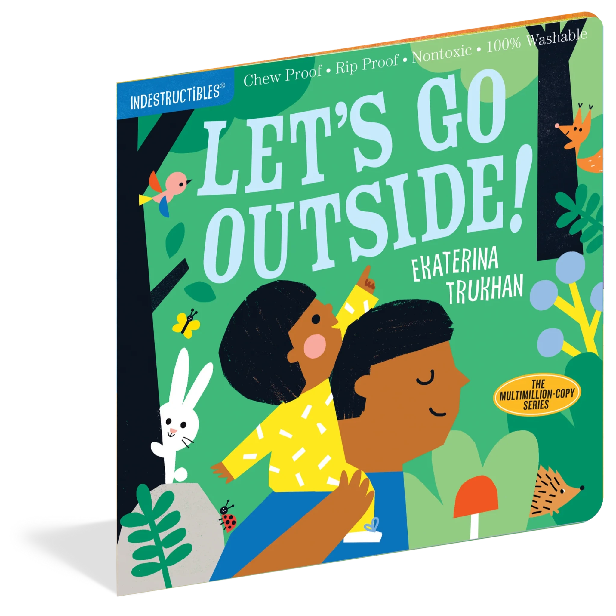 Libro Indestructible: Let's Go Outside!