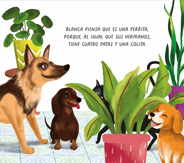 LIBRO CUATRO PATAS Y UNA COLITA