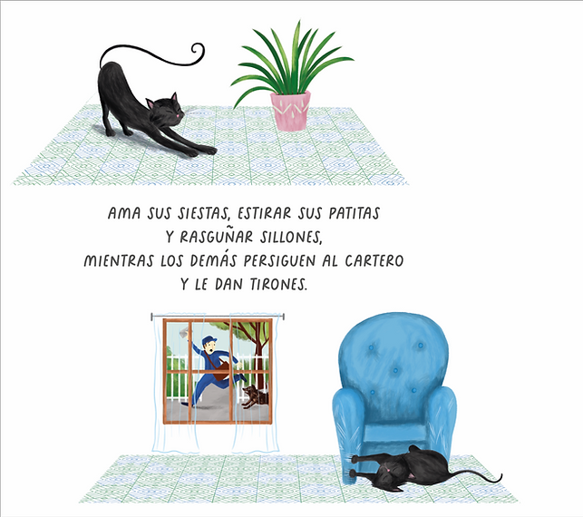 LIBRO CUATRO PATAS Y UNA COLITA