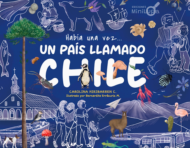 LIBRO HABÍA UNA VEZ UN PAÍS LLAMADO CHILE