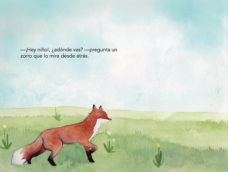 Libro ¿Dónde Va el Sol?