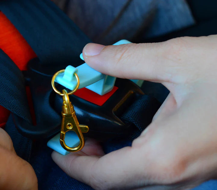 BUCKLE PAL