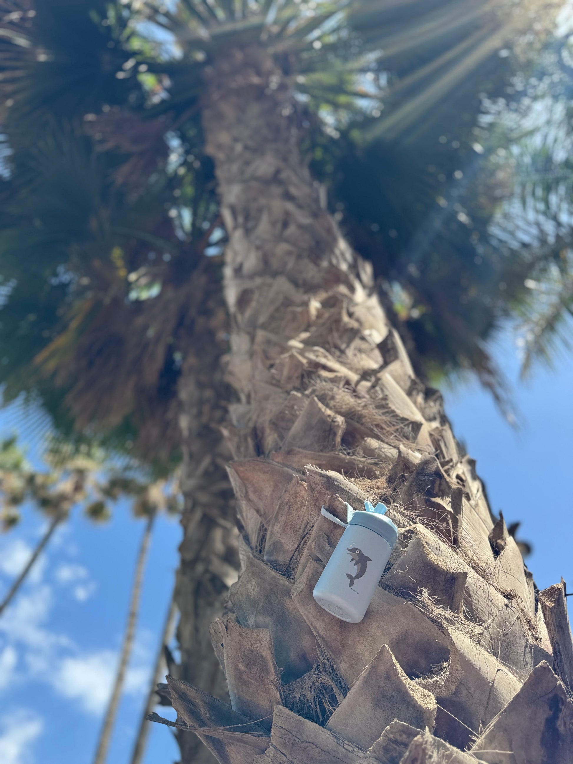 STEELish HydraFlip 0.4L Carl Oscar Azul Delfín - estilo de vida palmera
