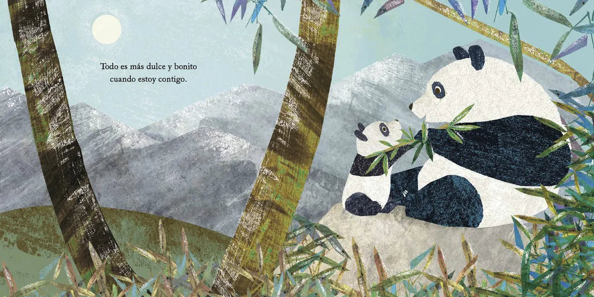 LIBRO MI ABUELA Y YO