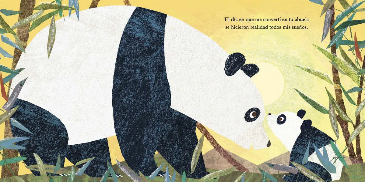 LIBRO MI ABUELA Y YO