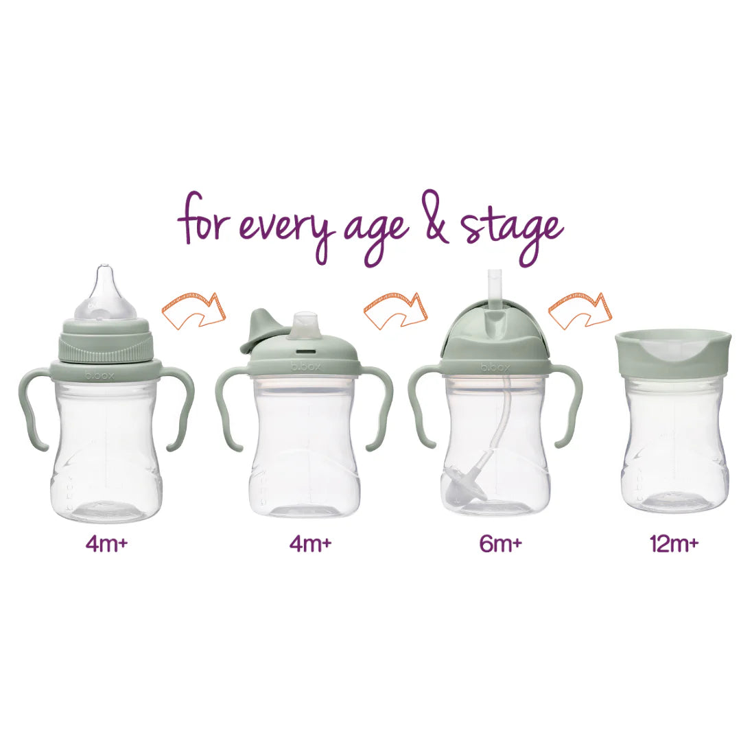 SET DE TRANSICIÓN VASO B.BOX