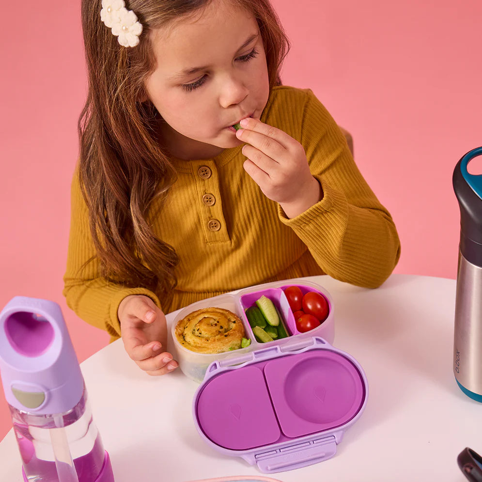 Snack Bento Buddy para Snackbox b.box