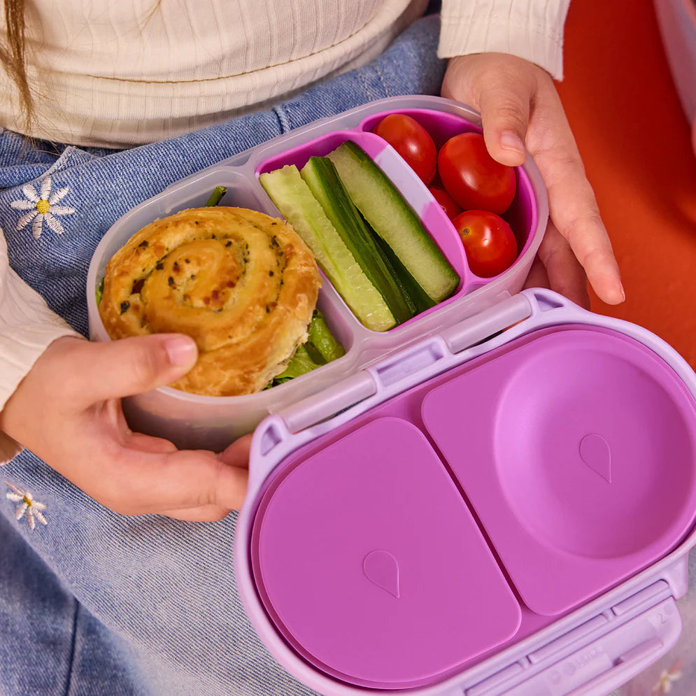Snack Bento Buddy para Snackbox b.box