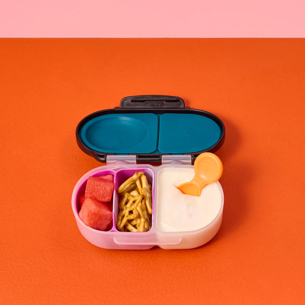 Snack Bento Buddy para Snackbox b.box