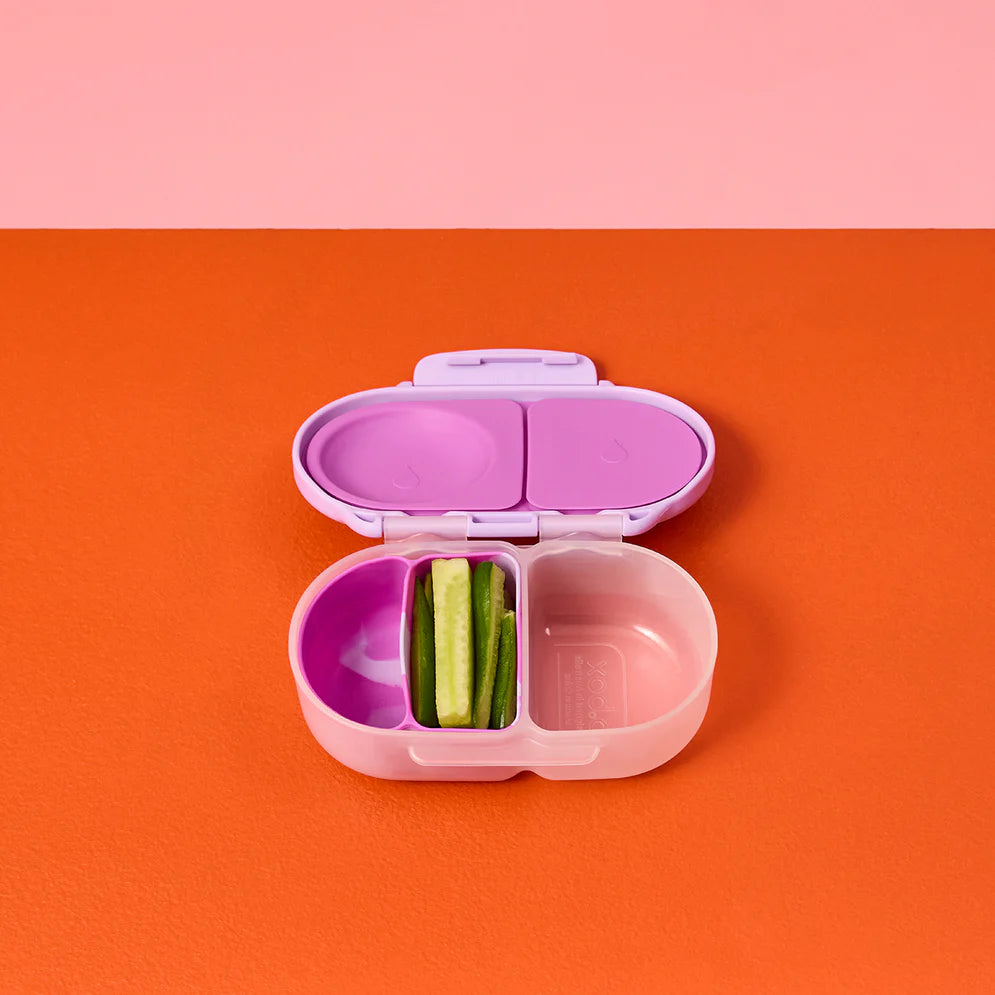 Snack Bento Buddy para Snackbox b.box