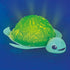 Tortuga de Baño Splash Ludi