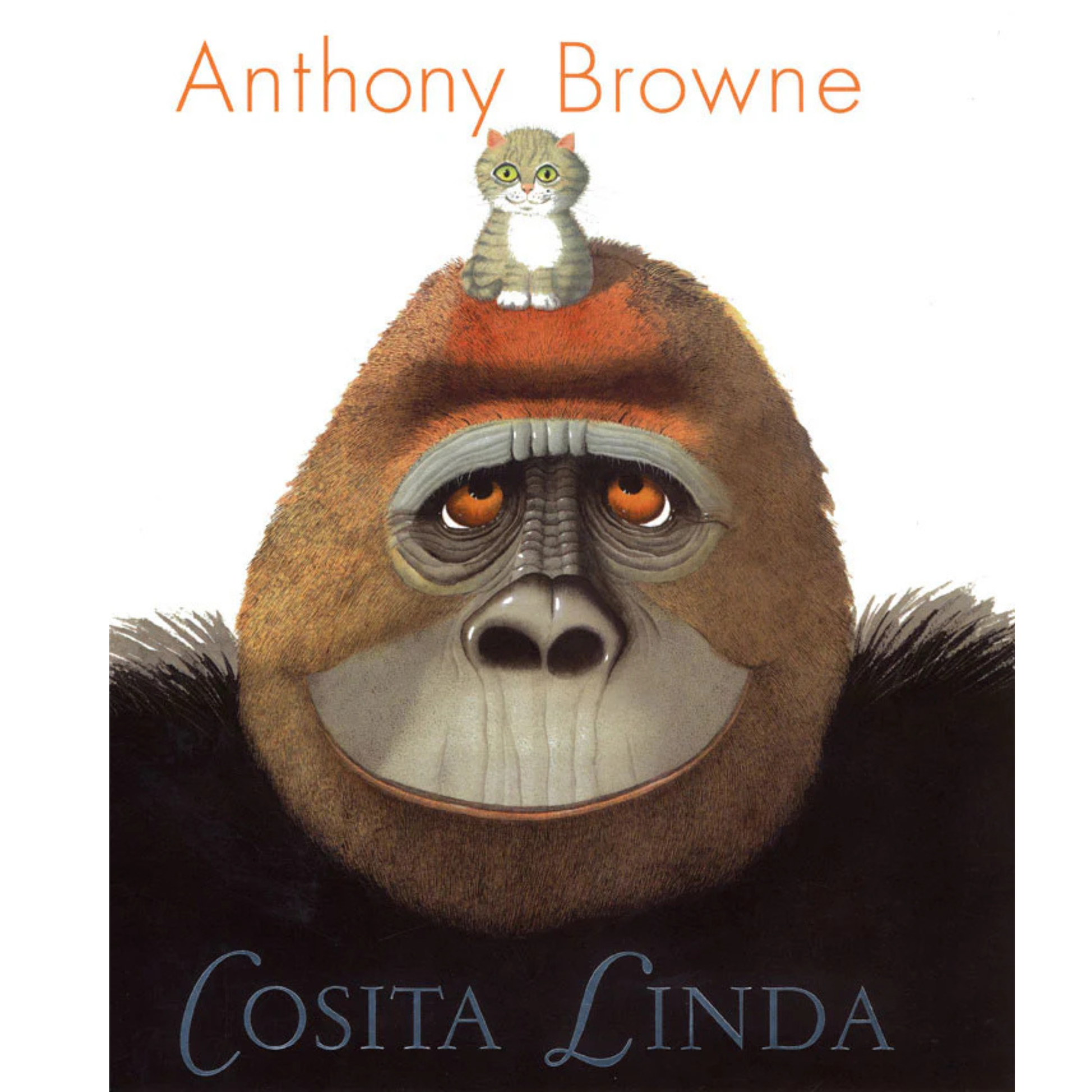Libro cosita linda