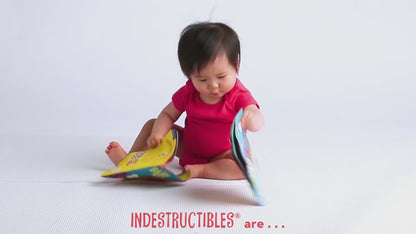 LIBRO INDESTRUCTIBLE: THINGS THAT GO!